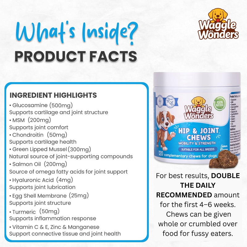 Hip & Joint Chews for Dogs – Dog Joint Supplement with Glucosamine, Chondroitin & Green Lipped Mussel, Supports Mobility, Flexibility & Stiff Joints, Senior & Active Dogs, 120 Chews