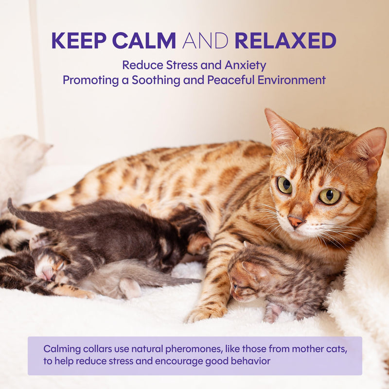 Pheromone Calming Collar for Cats 4 Pack – Breakaway Cat Calming Collar for Anxiety, Separation Stress, Spraying and Meowing, Adjustable Waterproof Natural Collar for Indoor Cats