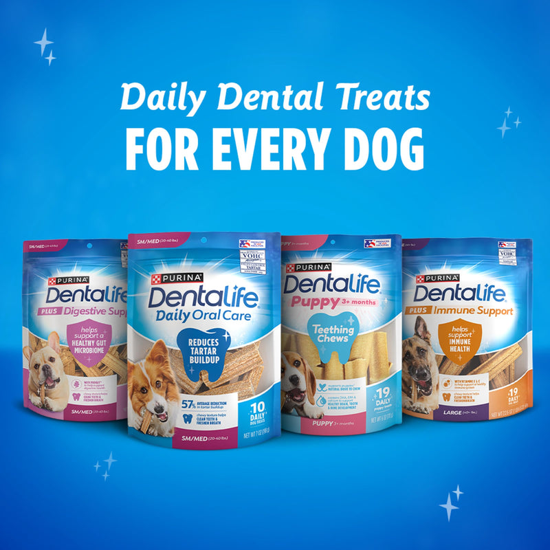 Dentalife Plus Digestive Support Dog Treats for Large Dogs 40 lbs. and up, Cleans Teeth, Freshens Breath, & Supports Healthy Gut, Chicken & Pumpkin Flavor, 7 oz., 6 Chews - 6 ct. Pouch (Pack of 2) 7 Ounce (Pack of 2)