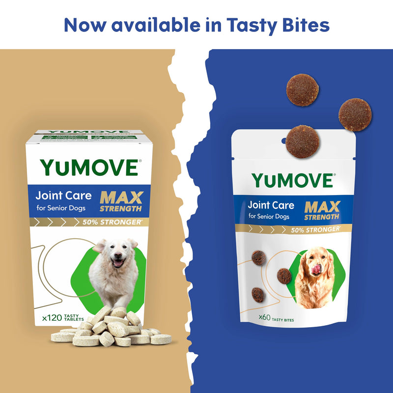 YuMOVE Max Strength Joint Supplement, Hip & Joint Aid with Glucosamine, Chondroitin, Green Lipped Mussel, Aged 8+, 60 Chews | Unflavoured