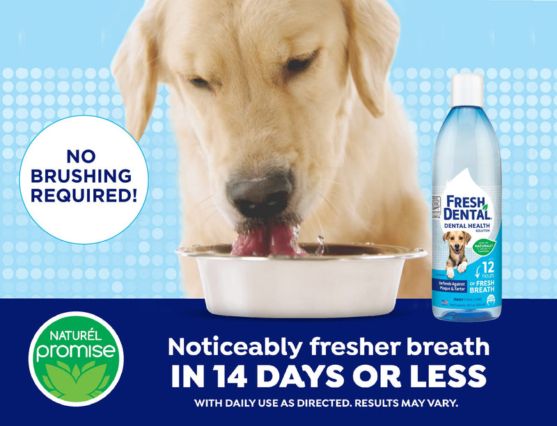 Fresh Dental Dental Health Solution for Dogs, 18oz Dental Formula 18 Fl Oz (Pack of 1) - PawsPlanet Australia