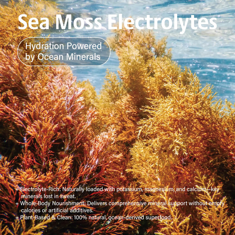 Sea Moss Electrolytes Powder Packets - Hydration Packets Sugar Free - Electrolyte Packets with 60 Sticks - Zero Sugar & 0 Calorie - Gluten Free Drink Mix - 2 Pack (60 Servings) 60 Servings (Pack of 2)