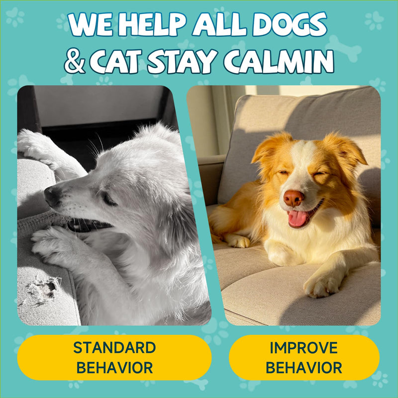 2 Pack Calming Drops for Dogs & Cats - Cat Calming Drops for Stress & Anxiety Relief with Schisandra, Dogs Calming for Travel, Vet Visits, Separation Anxiety, Storms, Fireworks - Chicken Flavor