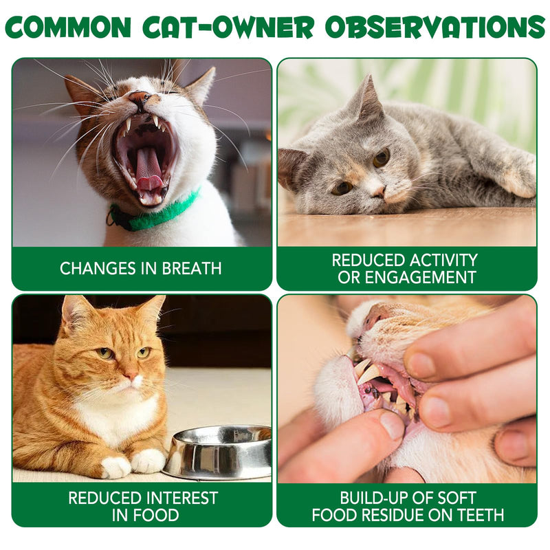 Cat Grass Treats,Cat Treats for Indoor Hairball Control,Delicious Kitten Grass Teething Stick for Hairball Remove and Teeth Cleaning,Catnip Flavour