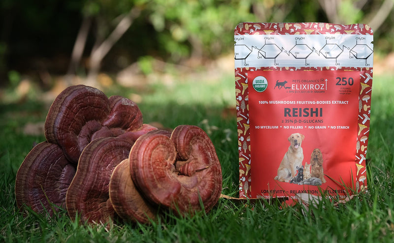 Reishi Mushroom Extract for Dogs & Cats – 35%+ Beta Glucans – Fruiting Body (8:1–12:1 Concentrated) – Immune Support, Calming & Relaxation – No Fillers – 250 Servings