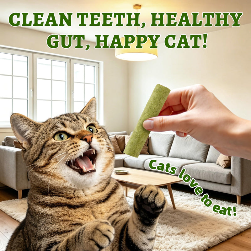 Just Try Cat Grass Sticks for Cat Hairball Control & Teeth Cleaning Dental Chews for Cats Crunchy Cat Treats for Indoor Cats Healthy Cats Treats (17.6 OZ)