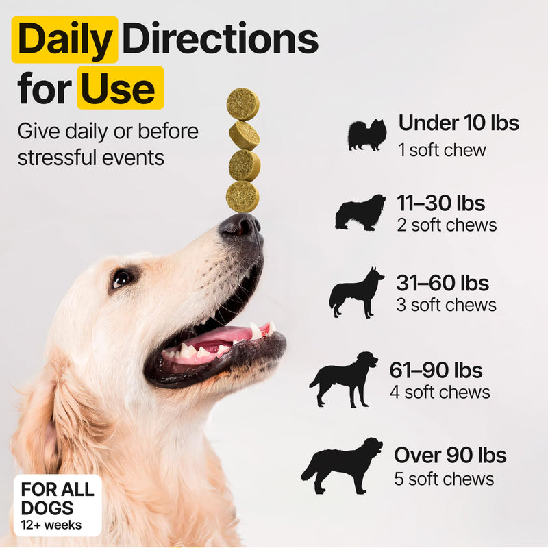 Flea and Tick Prevention for Dogs Chewable – Natural Flea Pills for Dogs, All Breeds & Ages, Chicken Flavor – Dog Flea and Tick Treatment Chewable Supplement – 1 Pack, 170 Count, Made in USA