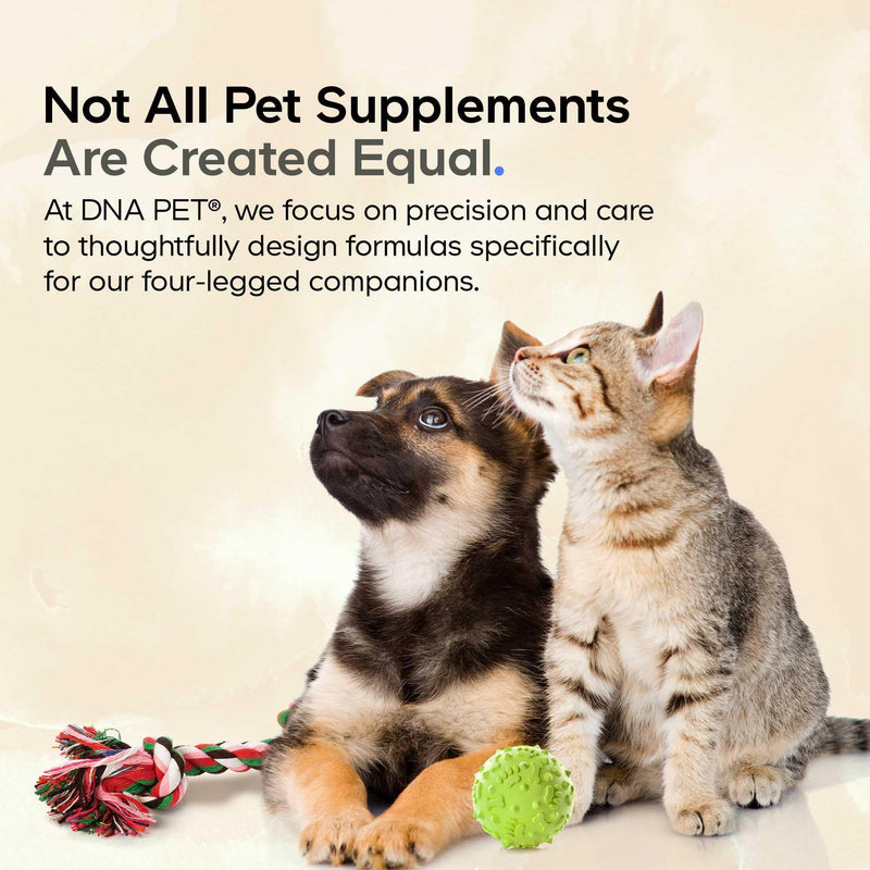 DNA PET Wild Alaskan Salmon Oil for Dogs - EPA, DHA, Omega 3 & 6 Fatty Acids for Pets - Liquid Fish Oil Supplement for Dogs - All Breeds - 8 fl oz