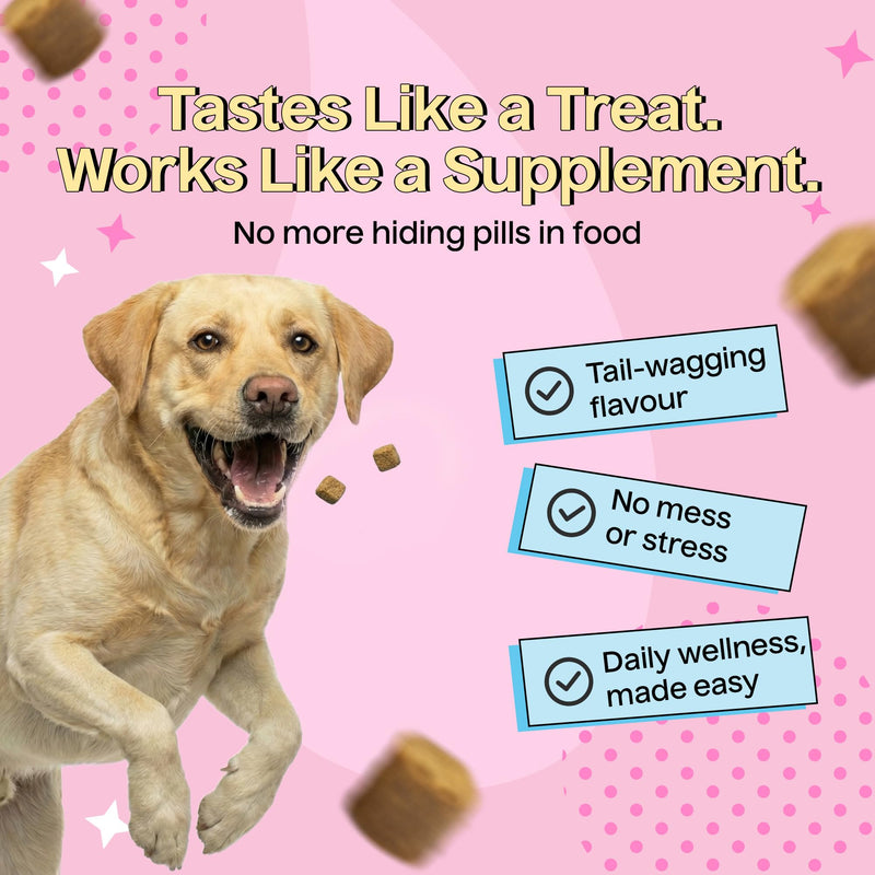 Drool Pet Products | Calming Dog Treats for Anxiety Relief | Natural Beef-Flavoured Dog Calming Supplement for Stress, Fireworks, Travel & Separation | Anxiety Relief for Dogs | 180g (60 Tablets)