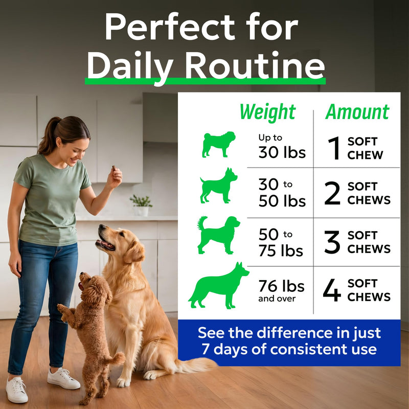BARK&SPARK Dog Teeth Breath Freshener Chews, Dental Cleaning Treats for Bright Smile - Plaque, Tartar and Bad Breath Advanced Remover for Dogs, Pet Oral Care Bright Co Lab Pro Formula - 90 Servings 90 Dental Care Chews Breath Aid Probiotics