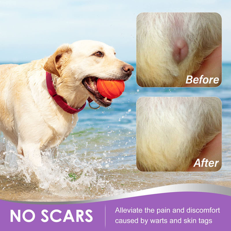 Dog Wart Remover Liquid - Dog Skin Tag Remover & Wart Removal Treatment Repaidly Eliminate Skin Tag & Warts Remover for Dogs 20ml (Pack of 1) - BeesActive Australia