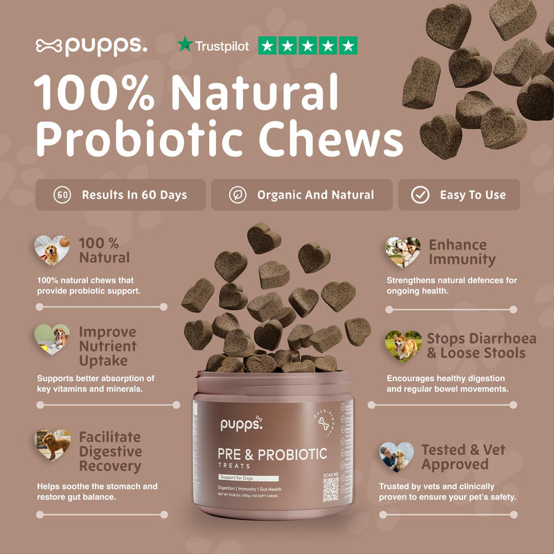 Pupps Pre & Probiotic Dog Treats – 120 Gut Health Chews | 4.5 Billion CFUs with Pumpkin & Digestive Enzymes | For Sensitive Stomachs, Digestion & Immunity | Duck Flavour | Vet Approved, UK Made 120 x Chews