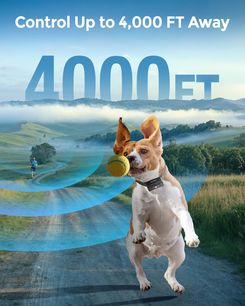 Dog Shock Collar, 4000FT Dog Training Collar with Remote IP67 Waterproof with 5 Training Modes, Rechargeable Training Collar for All Breeds, Sizes (10-150lbs) for 1 dog - BeesActive Australia