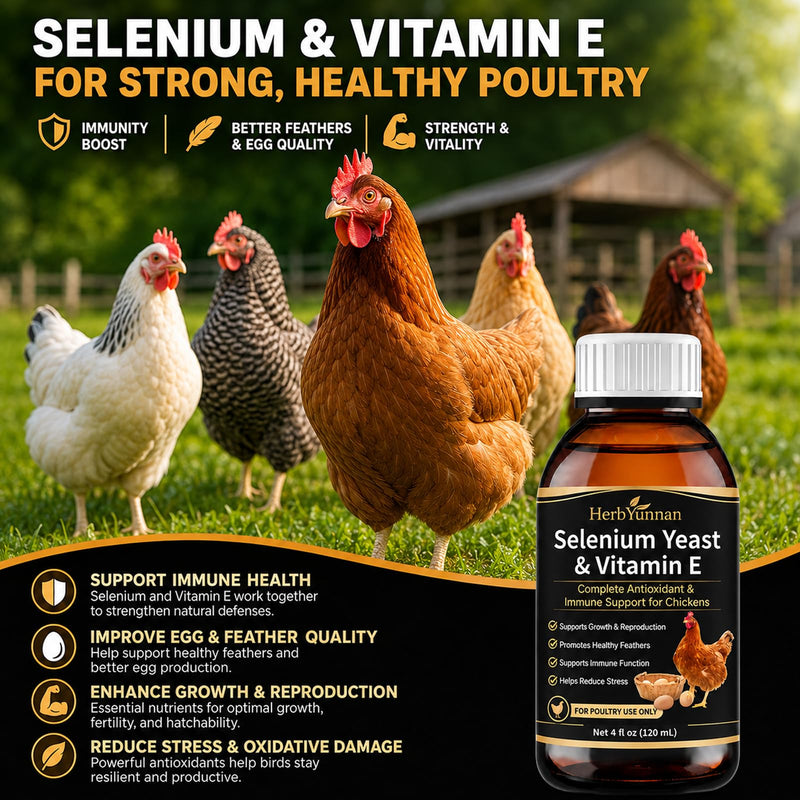 E+S Poultry Vitality Formula, Selenium& Vitamin E for Chickens & Poultry | Natural Selenium Yeast Liquid for Mobility Support, Nutritional Supplement for Heat Stress Resilience & Muscle Strength