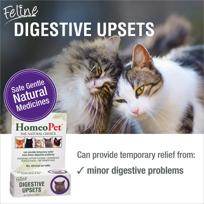 HomeoPet Feline Digestive Upsets, Natural Cat Digestive Support, Digestive Supplement for Cats, 15 Milliliters - BeesActive Australia