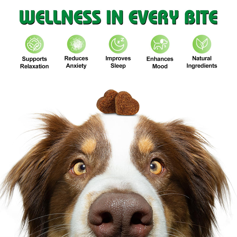 Bailey & buddies Calming Dog Treats - 100% Natural Soft Chews Reduce Stress, Fear, Barking, Aggression. Soothes Anxiety for All Breeds & Adult Ages for Small, Medium & Large Dogs