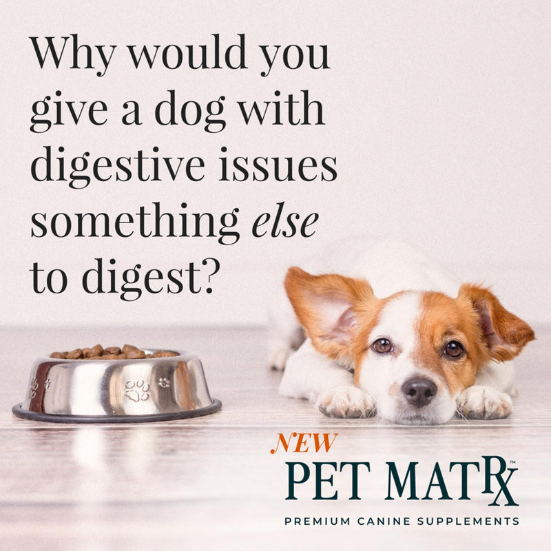 Think Cognitive and Calming Supplement with Collagen and Magnesium - Supports Nervous System Against Stress, Behavioral Challenges, and Cognitive Issues Small/Medium Breeds