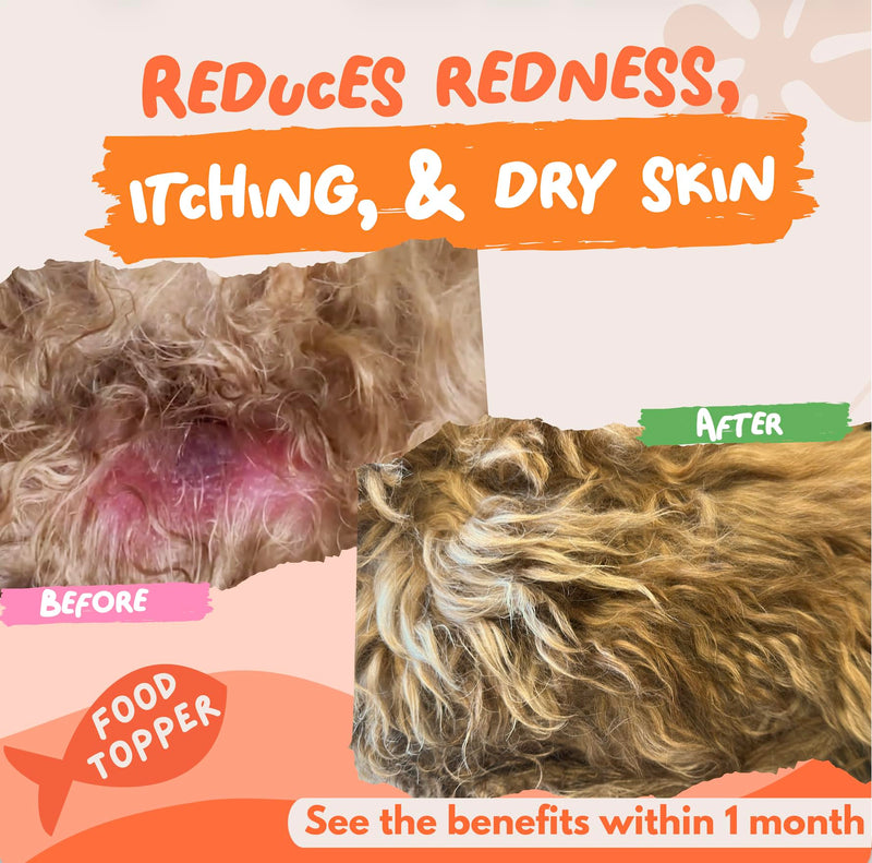 Leo's Salmon Oil for Dogs and Cats | Premium 100% Natural Food Topper Fish Oil for Dogs and Cats | 300ml Enhances Coat Shine, Joint & Brain Health, Itchy or Dry Skin, and Dandruff Hair Treatment