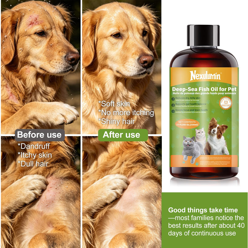 Salmon Oil for Dogs and Cats - Natural Omega-3 - Skin and Coat Care - Liquid Pet Food Supplement - Provides Fatty Acids for Joint Function - (230ml/1 Bottle) 2