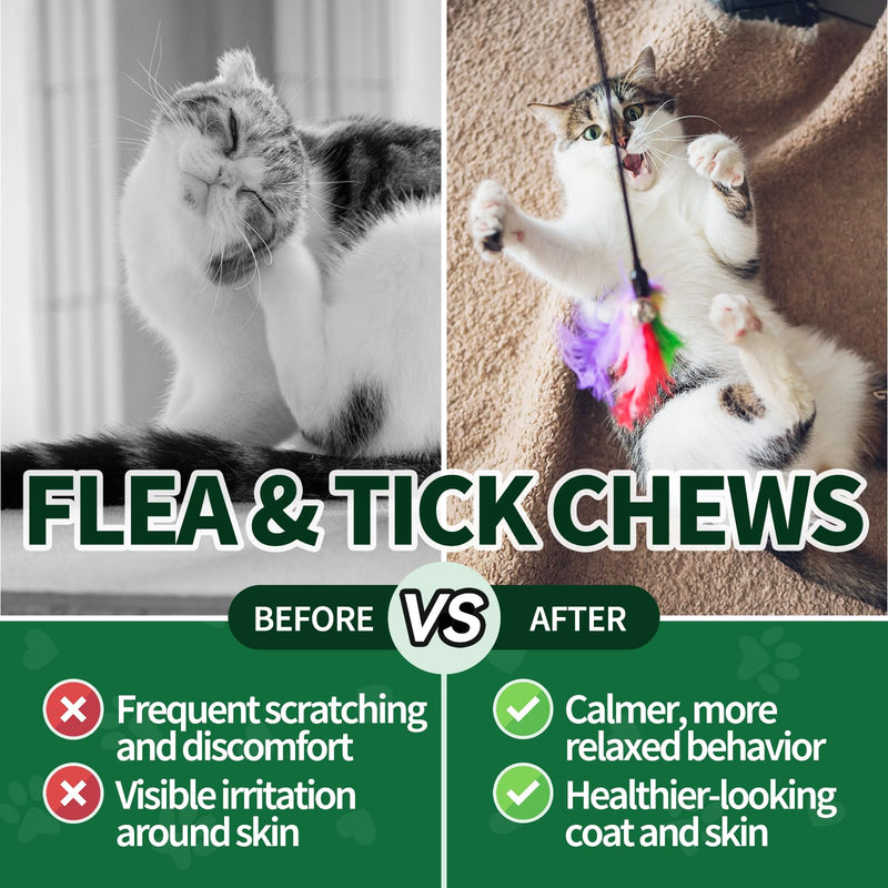 Flea and Tick Chews for Cats - 200 Soft Chews Natural Flea Tick Support for Cat All Breeds & Ages - Nourishes Skin & Coat Health - Energy Support - Chicken Flavor Soft Chew