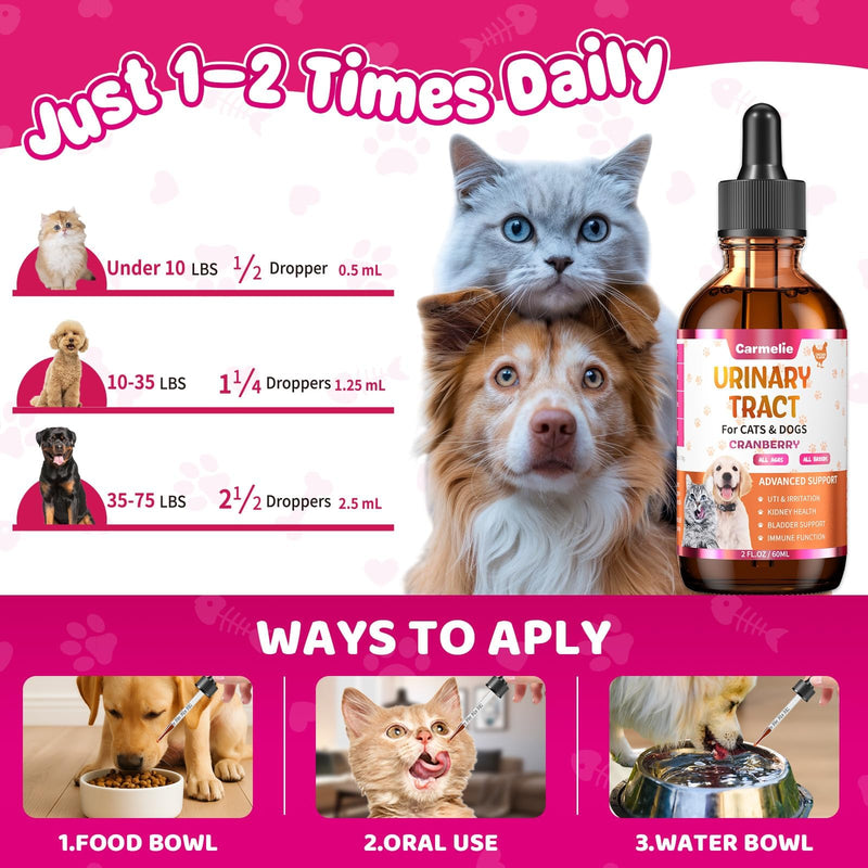 Cat & Dog Urinary Tract Support Drops with Cranberry – Kidney & Bladder Health– Natural Supplement for Pet Wellness & Comfort - BeesActive Australia