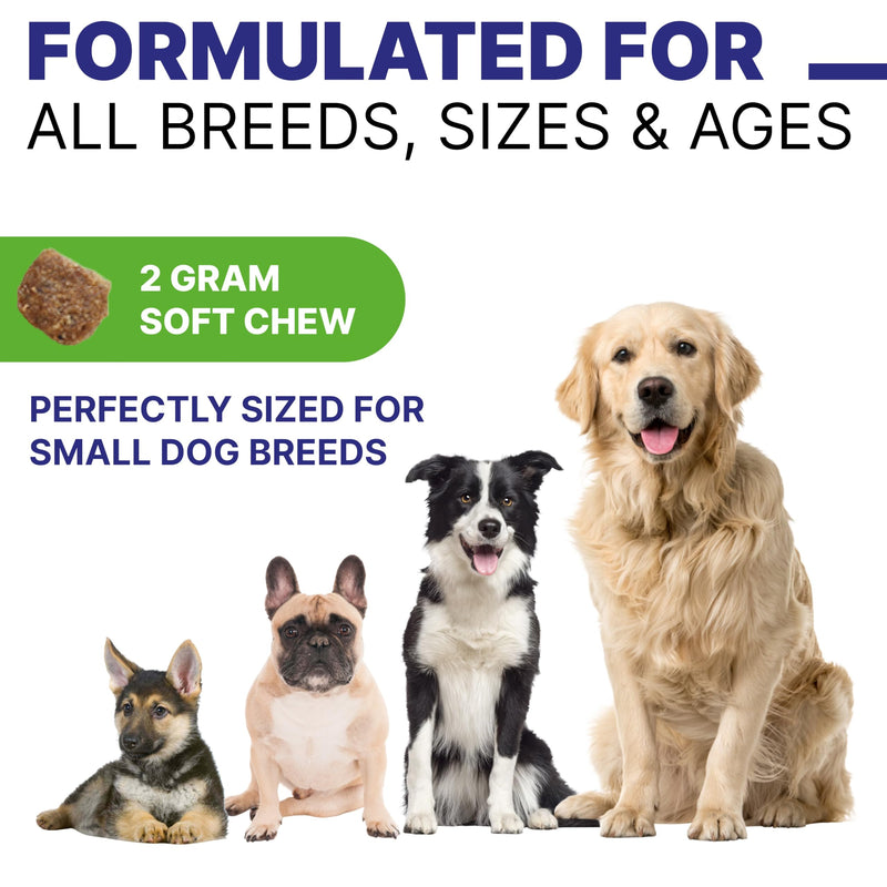 Probiotic, Enzyme, Prebiotic, Dog Chews for Digestive Support - Helps with Stool Consistency, Gas, Constipation, Diarrhea - 120 Chews - Roasted Turkey - BeesActive Australia