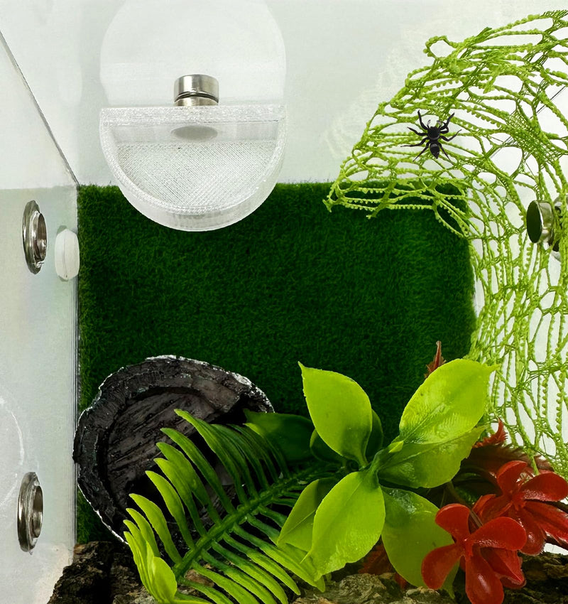 3 PCS Jumping Spider Feeding Dish, Tiny Food Dishes Water Dish for Jumping Spider, Tarantula and Other Small Pets, Half Round - BeesActive Australia