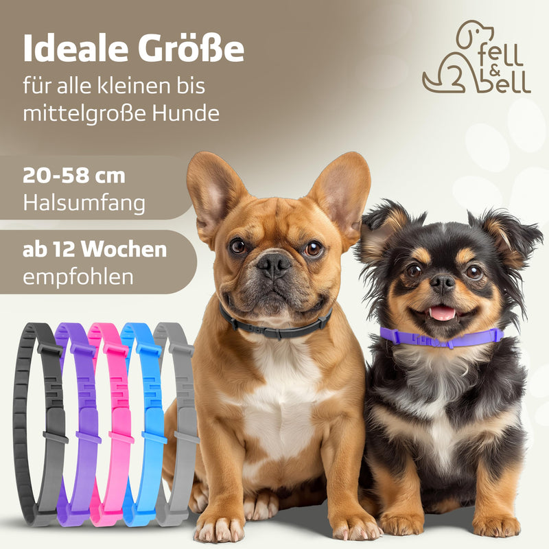 fell&bell tick collar with 60 ml coconut care spray - natural oils against vermin - dog collar in 5 colors - protection up to 8 months - flea collar - waterproof - for all dogs (blue) blue - BeesActive Australia