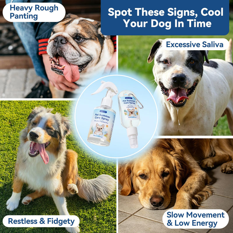 Dog Cooling Spray 160ml – Fast Refreshing Mist for Summer at Home & in The Car, with Menthol, Aloe Vera & Oat, Ideal for Brachycephalic, Double-Coated & Senior Dogs