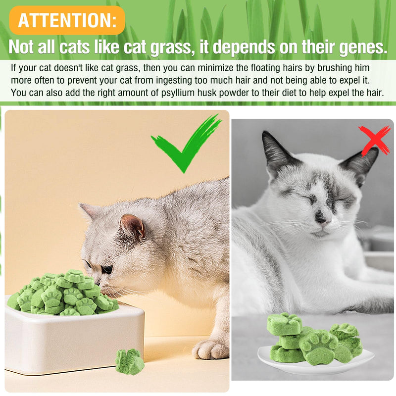 Freezed Drying Cat Grass Treats, Cat Grass Teething Sticks Cats Snacks for Hairball Removal and Dental Care Cat Grass-50g