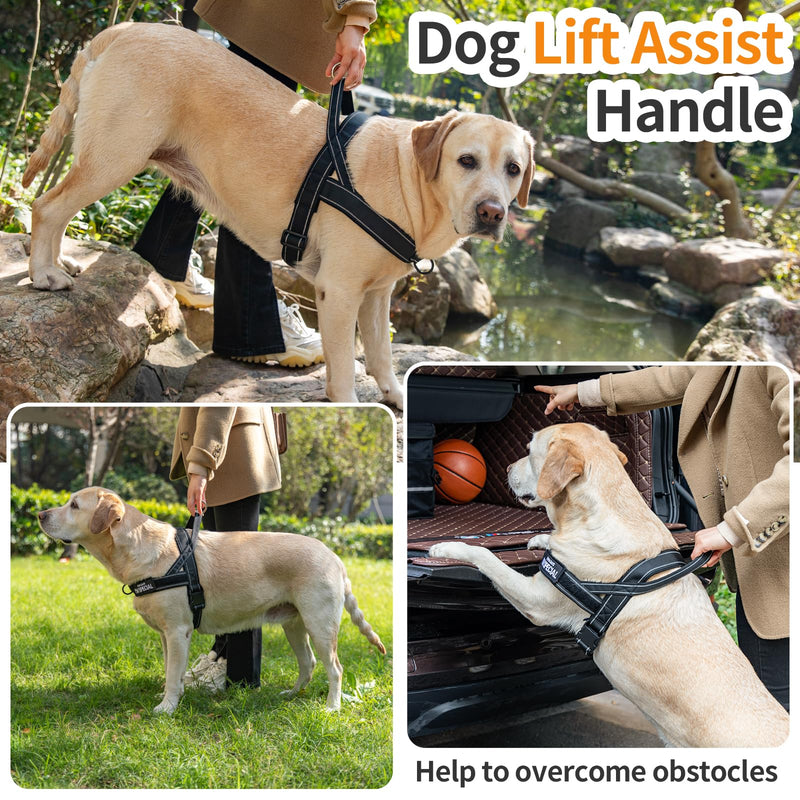 Eeyfarog No Pull Dog Harness for Small Medium Dogs, Reflective Escape-Proof Adjustable without Pull, Dog Harness (Green, L) Green - BeesActive Australia