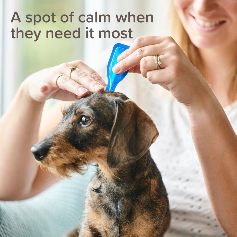 Beaphar - CaniComfort® Calming Spot-On For Dogs- Reduces Anxiety & Stress – Pheromone Calming - Fast-Acting - Starts Working in 15 Minutes - Ideal for Short-Term Events like Fireworks - 3 Pipettes