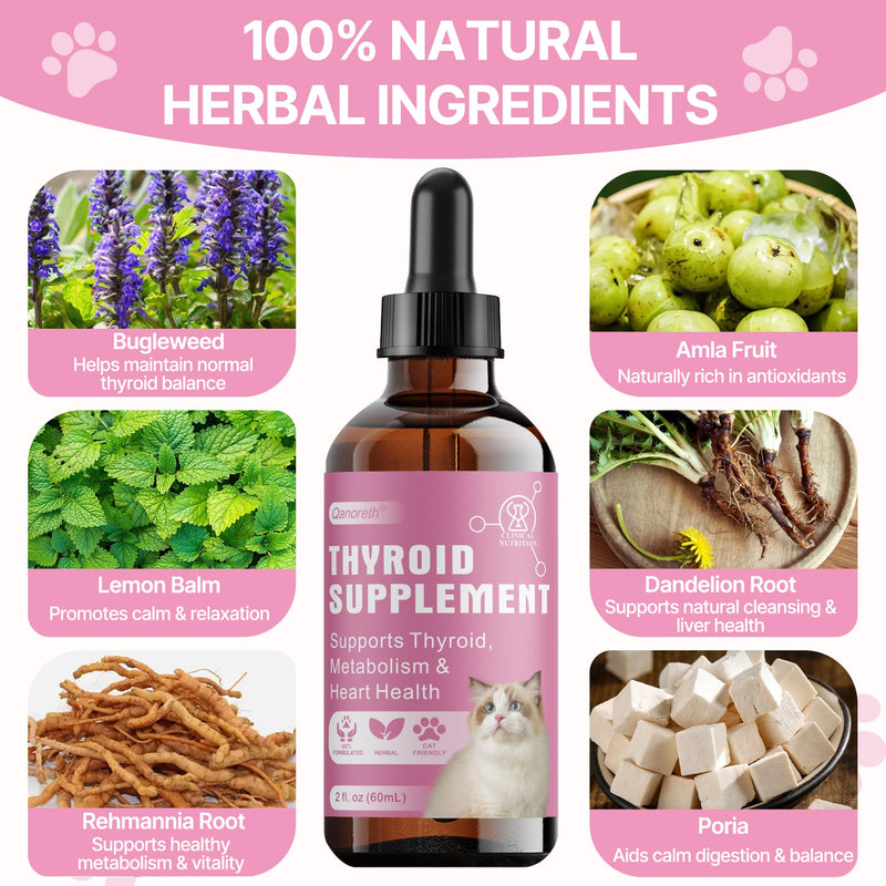 Thyroid Support for Cats, Natural Cat Appetite Stimulant & Cat Weight Gainer Drops – Helps Support Metabolism, Energy & Weight Gain for Cats – Vet-Formulated Herbal Liquid Supplement, 2 fl oz