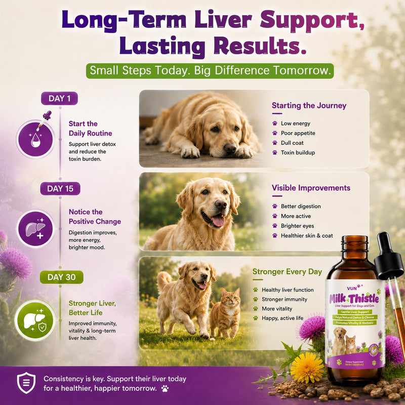 Milk Thistle for Dogs & Cats,Liquid Liver Supplement for Dog,Liver Detox &Immune,Herbal Formula with Antioxidants,Easy-Absorb Drop, Chicken Flavor 2 fl oz
