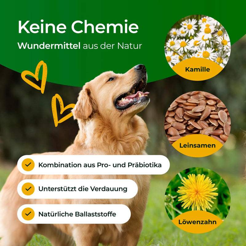 Hundpur Digestive Happiness 300g - Supplementary Food for Dogs - Prebiotics & Probiotics Pellets - Stabilizing Physiological Digestion (Digestive Happiness 300g) - BeesActive Australia