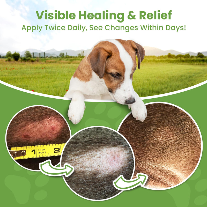 Hot Spot Treatment for Dogs - Pet Wound Care, Healing Ointment for Pets Itchy Skin Relief, Dry Skin Treatment, Natural Allergy Relief, Dog Paw Balm + Manuka Honey, Aloe Vera, Vitamin E (4 Oz.) 4 Ounces