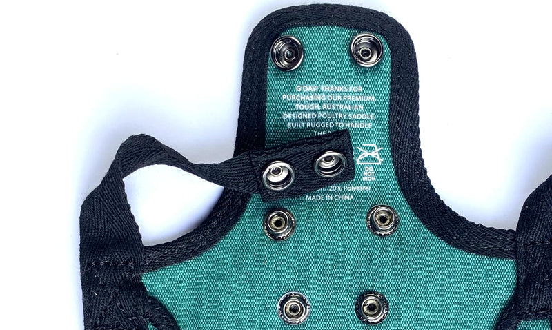 DOWN UNDER OUTDOORS 2 Pack Small Chicken Saddles for Bantams and Young Birds, Includes Shoulder Covers (Teal) teal - PawsPlanet Australia