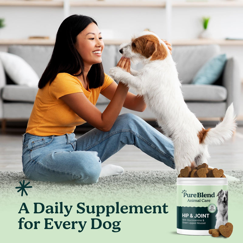 PureBlend Hip & Joint Soft Chews for Dogs — With Glucosamine, Chondroitin, Green Lipped Mussel & MSM — Joint Supplement for Dogs — 120 Chews, Up to 4 Month Supply