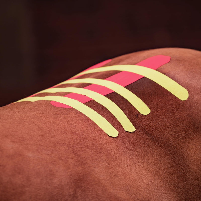 VETKIN VetkinTape Canine & Equine Kinesiology Tape | Veterinary Medical Tape | Vet Wrap for Joint Support & Pet Care | Self Adhesive Bandage Wrap | Pink | 2.4in | (Pack of 1)
