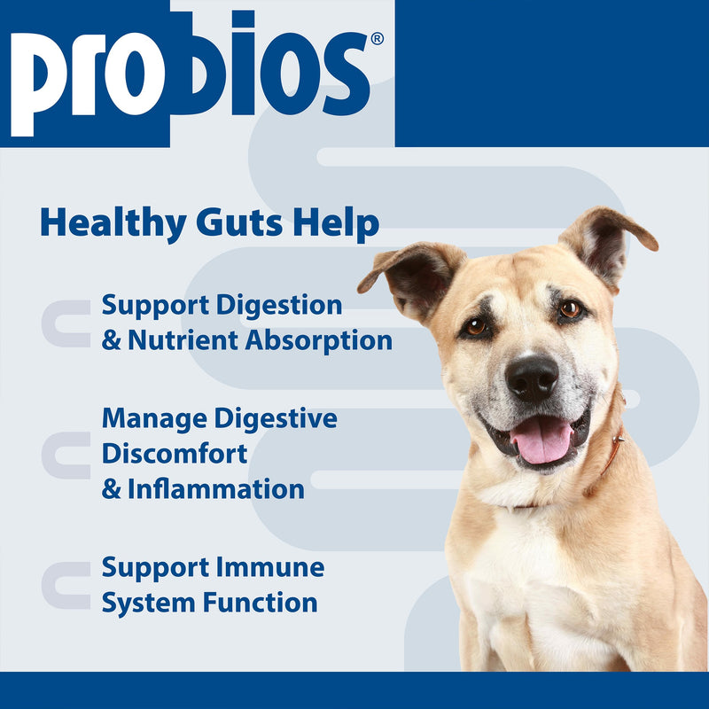 Probios Intelliflora for Dogs, Daily Probiotic Powder with Prebiotics, 200 Million CFU/g, Supports Gut Health Digestion and Immune Health, Chicken Liver, 30 Sachets (Pack of 2) 30 Count (Pack of 2)