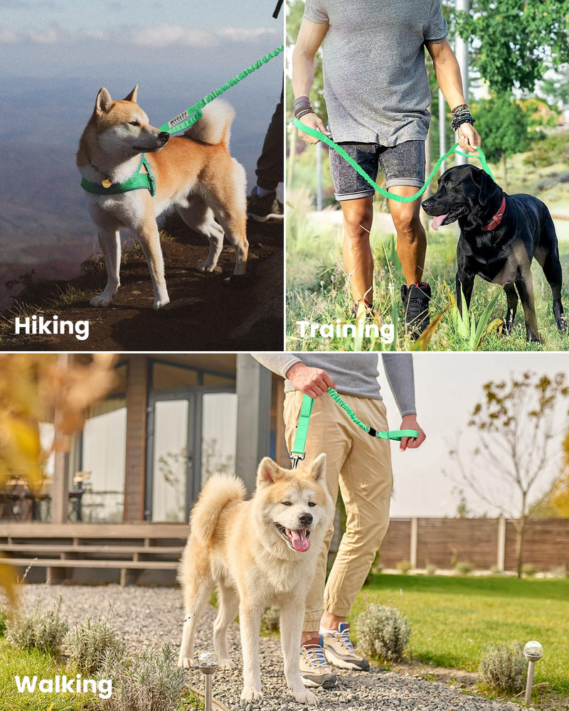 OutdoorMaster Bungee Dog Leash, Heavy Duty Dog Leash with Shock Absorption, 2 Padded Handles Training Leash, Improved Dog Safety and Comfort - Green Upgraded, 4 FT Mint Green Max: 4'9"(Upgraded)