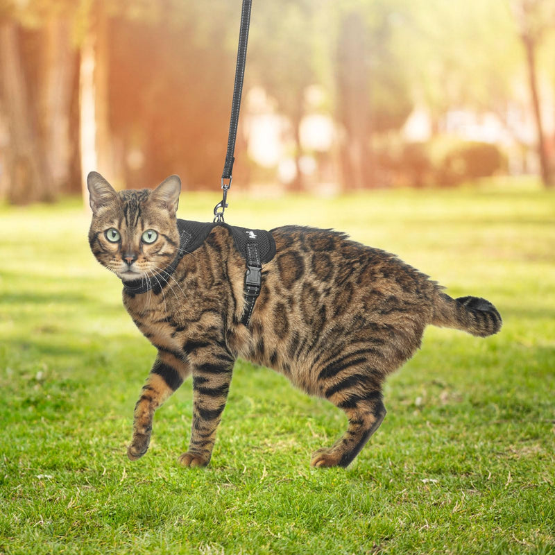 PUPTECK Cat Harness and Leash Set Escape Proof, Reflective Adjustable Soft Mesh Kitten Vest Harness for Walking Travel, Black, S Small - BeesActive Australia