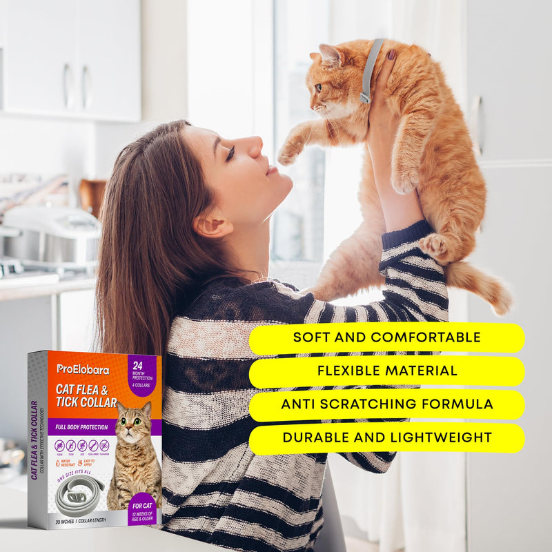 Cat Flea Tick Prevention Collar: Nature Flea Collar for Cats Fleas Repellent Collars - Safe Tick Prevention Collars for Cats Ticks Control for Kitten - 4 Pack 24 Month Protection Gray - BeesActive Australia
