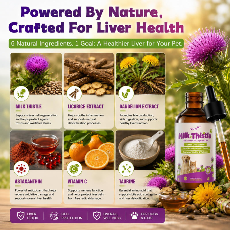 Milk Thistle for Dogs & Cats,Liquid Liver Supplement for Dog,Liver Detox &Immune,Herbal Formula with Antioxidants,Easy-Absorb Drop, Chicken Flavor 2 fl oz