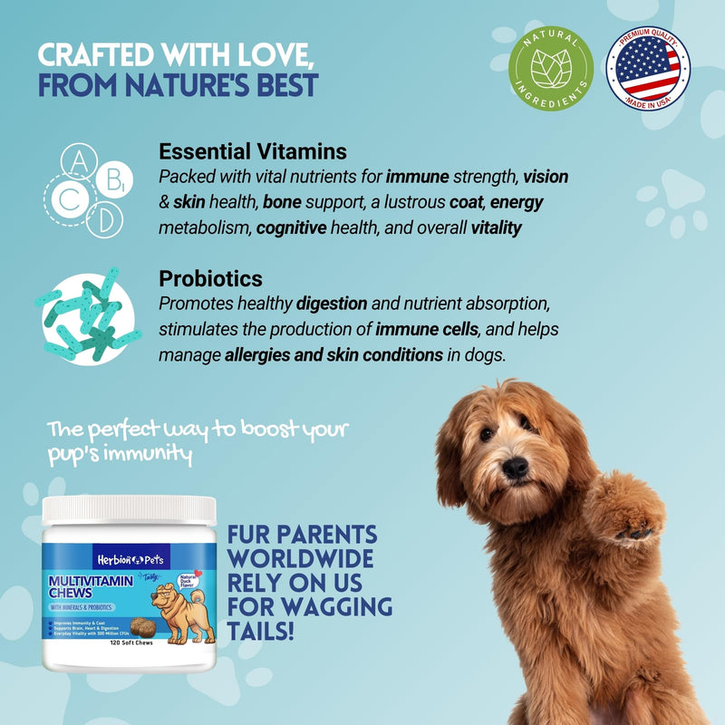 HERBION Pets Multivitamin Chews with Minerals & Probiotics, Improves Immunity & Coat, Supports Digestion, Brain & Heart Health, Delicious Natural Duck Flavor, Dog Supplements & Vitamins, Pack of 1