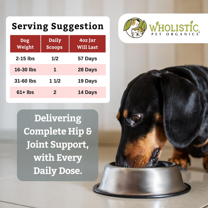 Wholistic Pet Organics Run Free - 4 Oz - Dog Joint Supplement for Senior Dogs, Glucosamine Chondroitin MSM, Dog Vitamins, Cat Joint Pain Relief - PawsPlanet Australia