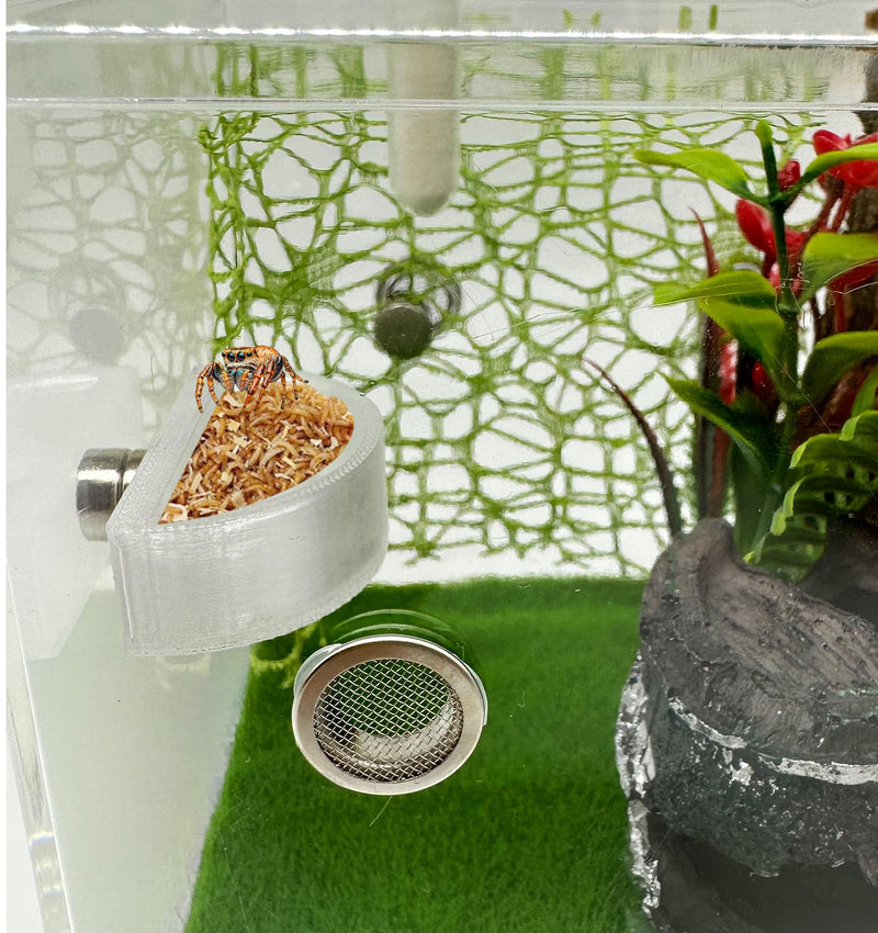 3 PCS Jumping Spider Feeding Dish, Tiny Food Dishes Water Dish for Jumping Spider, Tarantula and Other Small Pets, Half Round - BeesActive Australia