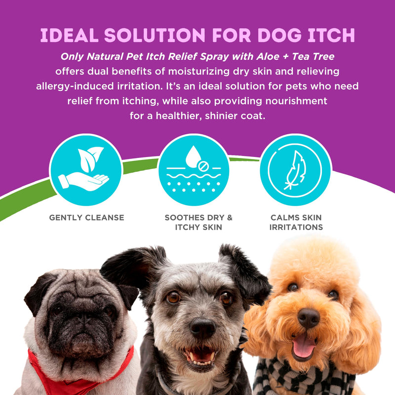 Only Natural Pet Itch Relief Spray with Aloe + Tea Tree for Dogs, Anti Itch Spray for Dogs Allergies to Soothe Dry Irritated Skin and Itchy Skin Relief - 8 oz 8 oz - Spray - PawsPlanet Australia
