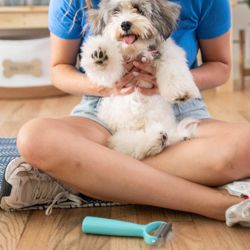 Uproot Clean Deshedder: Cat & Dog Brush for Shedding - Convenient Deshedding Dog Brush and Cat Hair Brush for Easy Grooming - by The Creators of The Uproot Cleaner Pro Pet Hair Remover! - BeesActive Australia