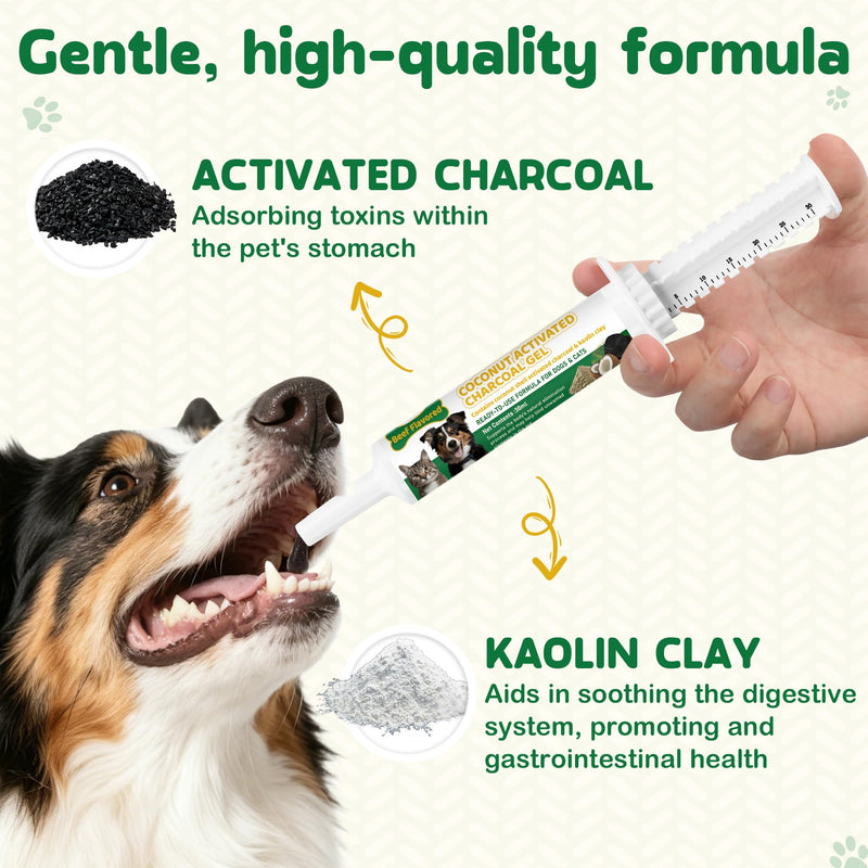 Activated Charcoal for Dogs & Cats – 30ml First Aid Kit Emergency Rescue, Oral Anti Diarrhea Digestive Paste Ready Absorb Toxins, Beef Flavor